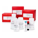 Merck PROTEASOME 20S ACTIVITY ASSAY KIT