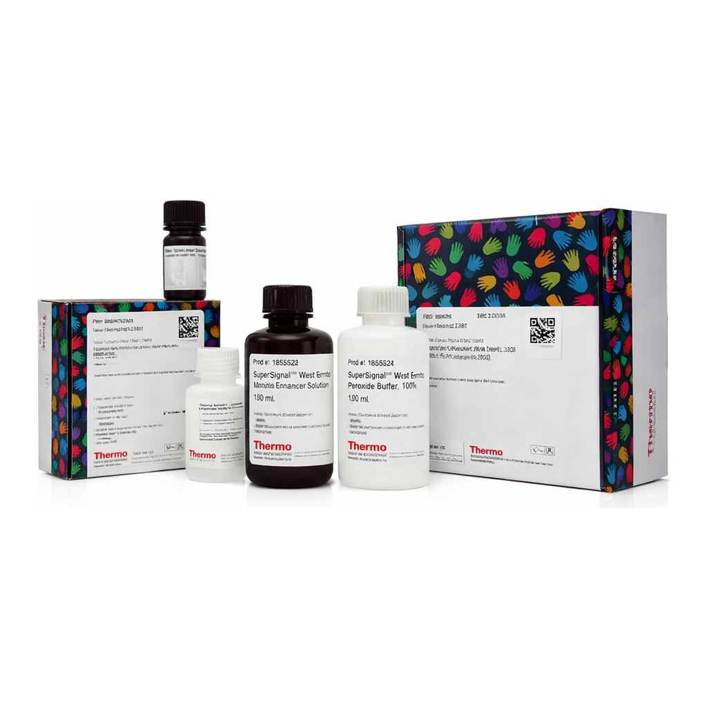 Thermo Fisher Scientific SuperSignal Western Blot Substrate Bundle, Femto + trial-size Pico PLUS