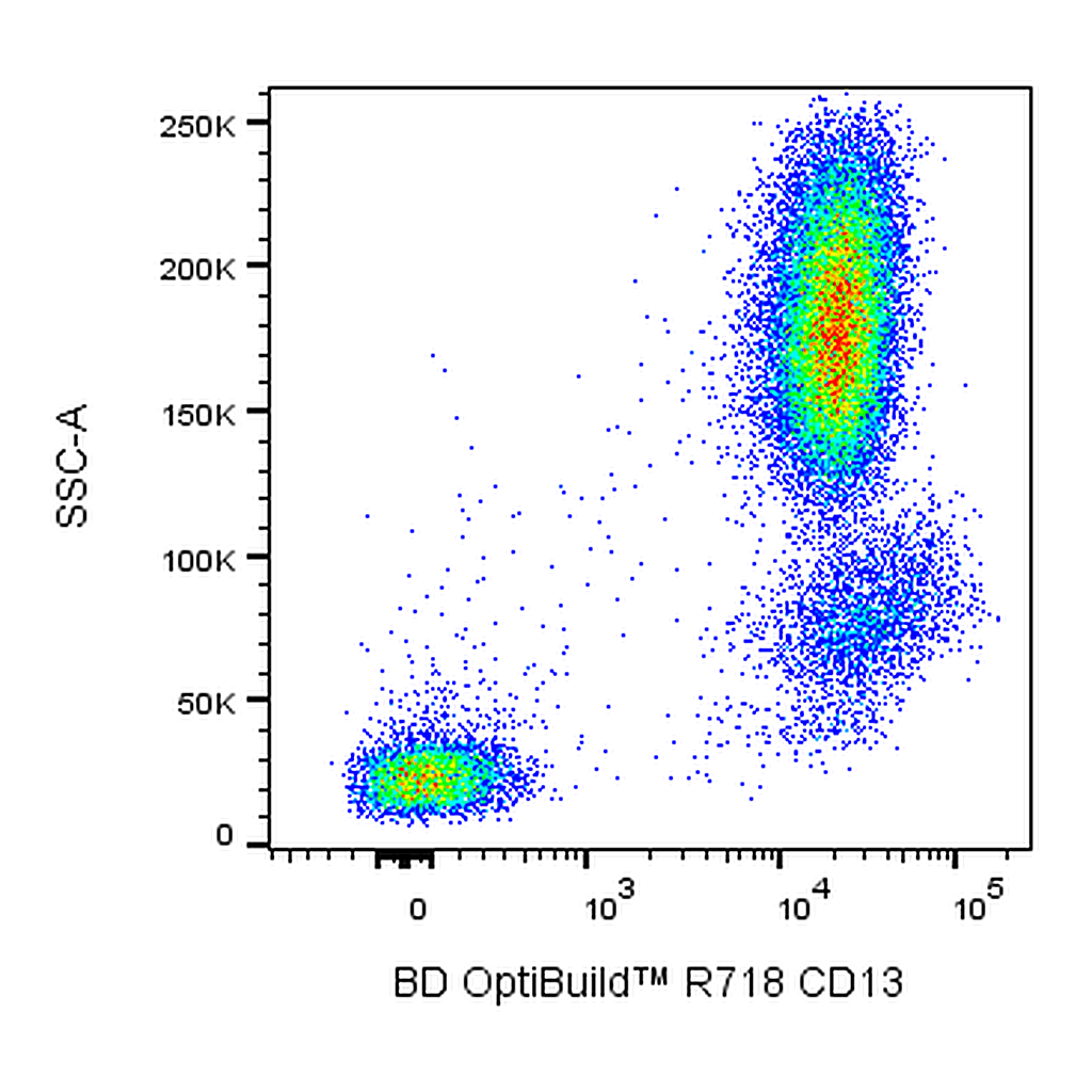 BD R718 Mouse Anti-Human CD13