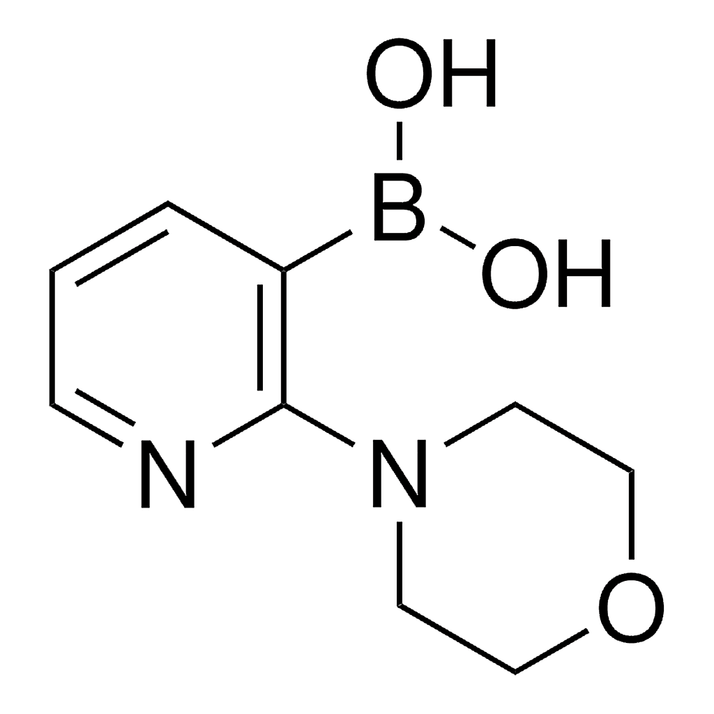 Merck 2-Morpholinopyridine-3-boronic acid