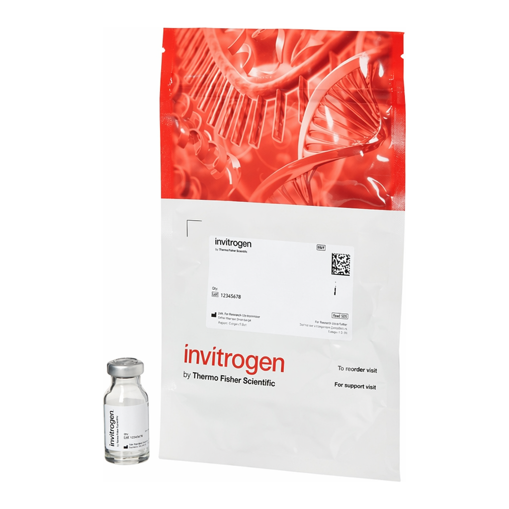Thermo Fisher Scientific FluoSpheres Polystyrene Microspheres, 10 &mu;m, orange fluorescent (540/560), for blood flow determination