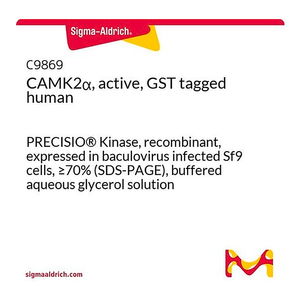 Merck CAMK2alpha, active, GST tagged human