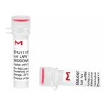 Merck MISSION(R) esiRNA