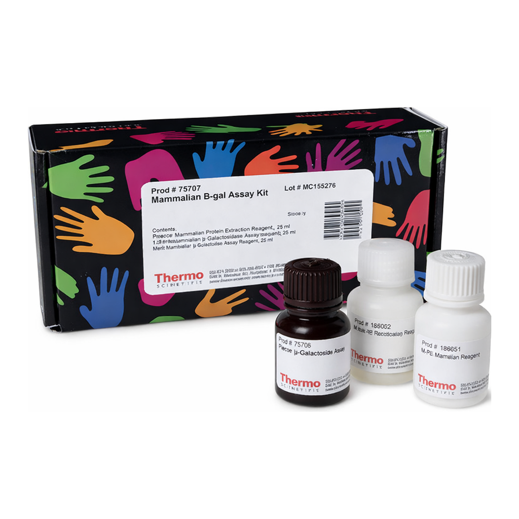 Thermo Fisher Scientific Mammalian beta-Galactosidase Assay Kit