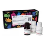 Thermo Fisher Scientific Mammalian beta-Galactosidase Assay Kit