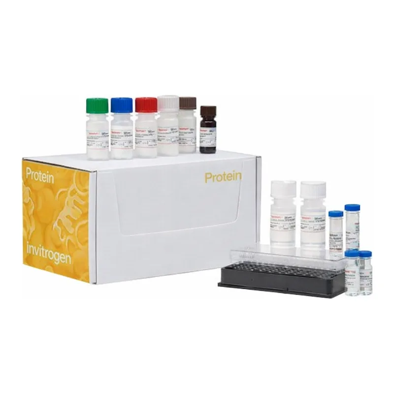 Thermo Fisher Scientific Cytokine 29-Plex Monkey Panel