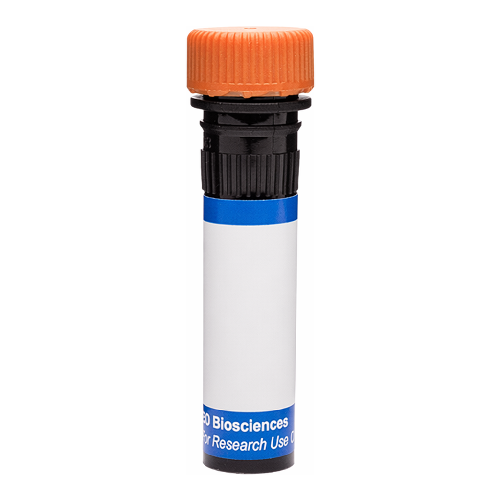 BD RB613 Mouse Anti-Human CD51 (Integrin αV)