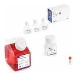 Thermo Fisher Scientific AAV-MAX Helper-Free AAV Production System Kit, without lysis buffer