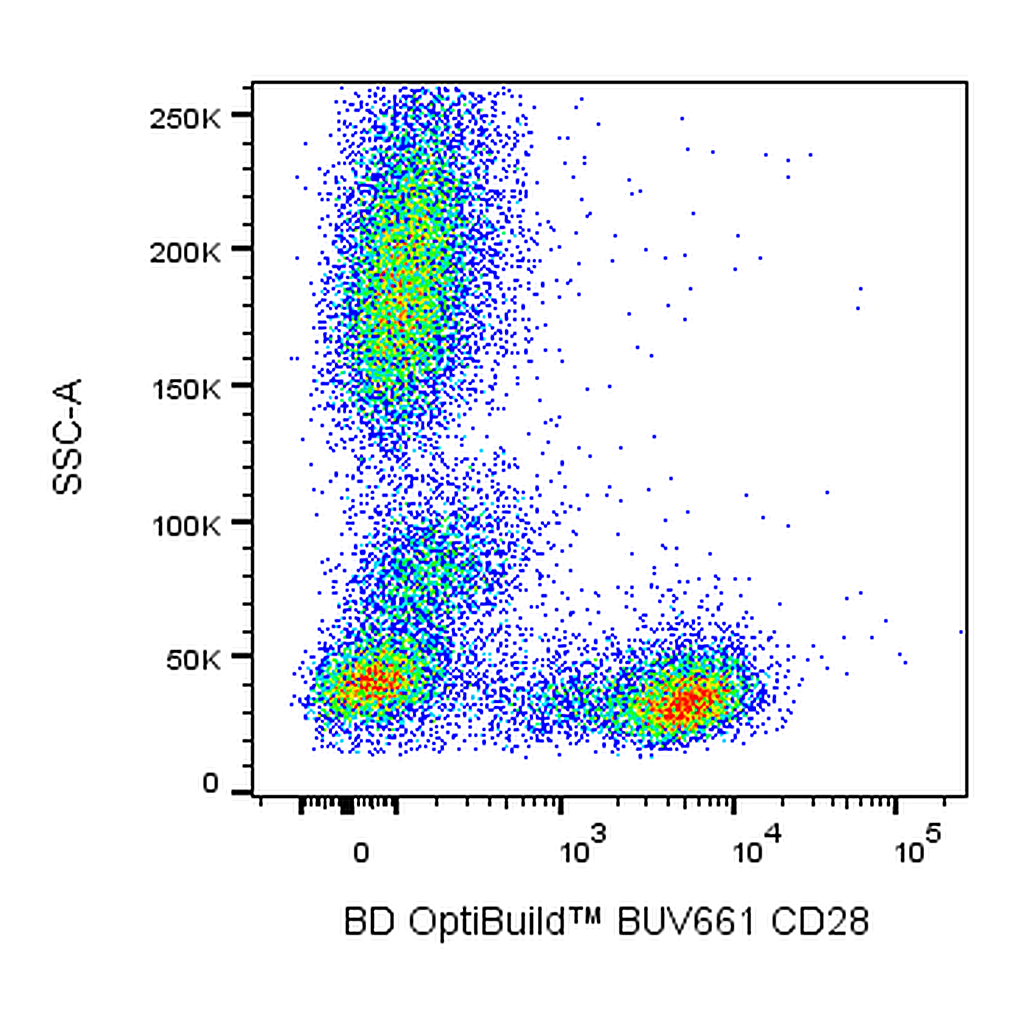 BD BUV661 Mouse Anti-Human CD28