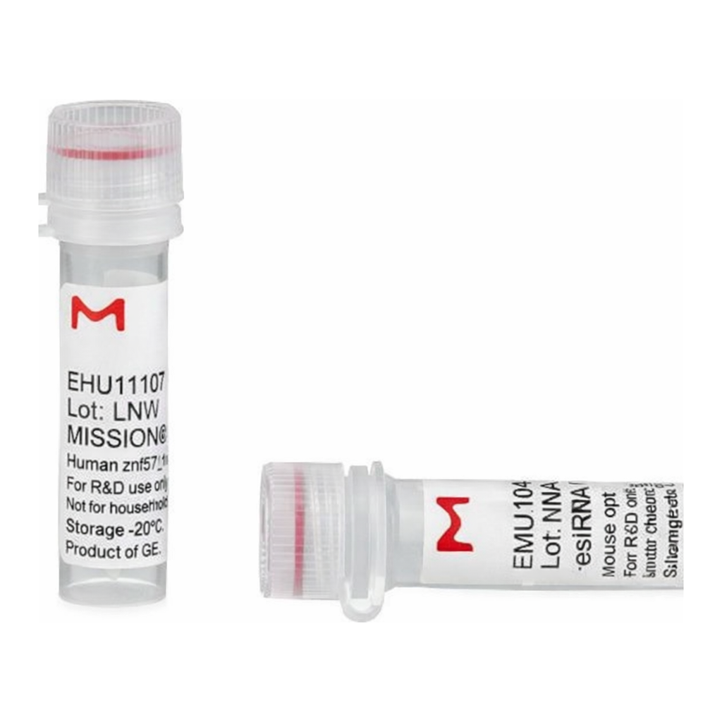 Merck MISSION(R) esiRNA