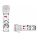 Merck MISSION(R) esiRNA
