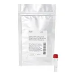 Thermo Fisher Scientific DyLight 755 NHS Ester, 1 mg