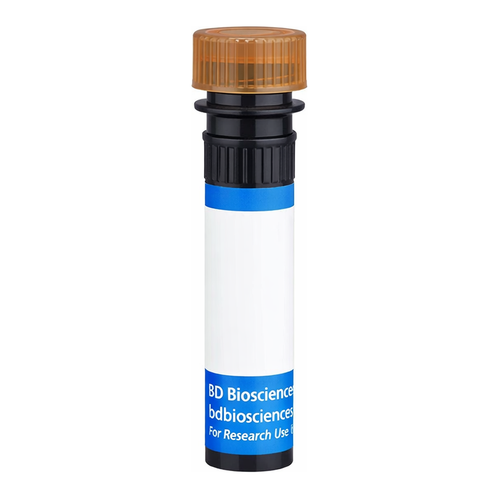 BD RB705 Mouse Anti-Rat Marginal Zone B Cells