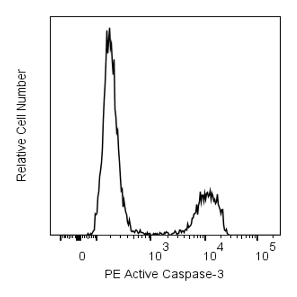 BD PE Rabbit Anti-Active Caspase-3