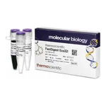 Thermo Fisher Scientific FastDigest Eco32I, 200 μL (200 Reactions)