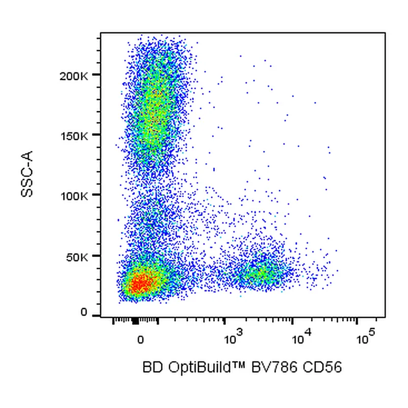 BD BV786 Mouse Anti-Human CD56 (NCAM-1)