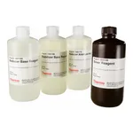 Thermo Fisher Scientific Pierce Color Silver Stain Kit