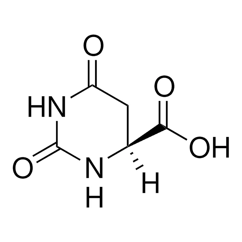 Merck L-Dihydroorotic acid