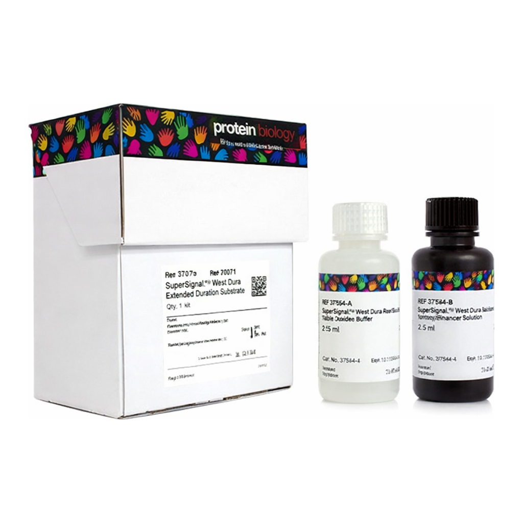 Thermo Fisher Scientific SuperSignal West Dura Extended Duration Substrate, 100 mL