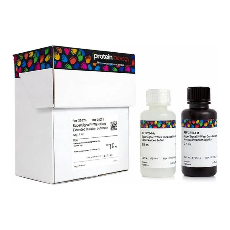 Thermo Fisher Scientific SuperSignal West Dura Extended Duration Substrate, 100 mL