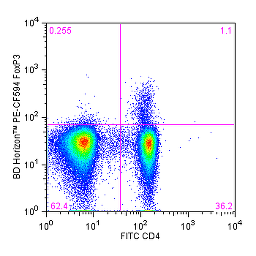 BD PE-CF594 Mouse Anti-Human FoxP3