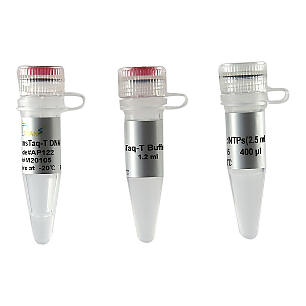 TransTaq®-T DNA Polymerase (with 2.5 mM dNTPs)