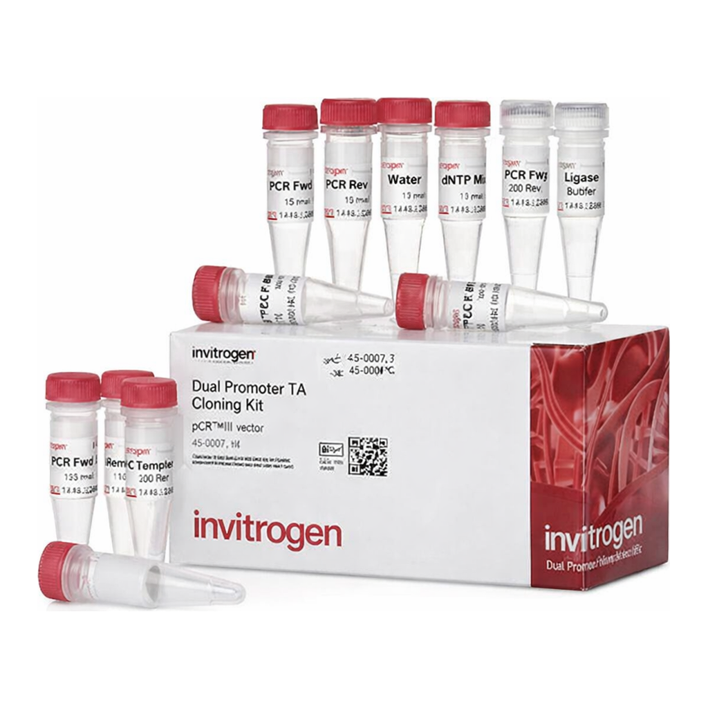 Thermo Fisher Scientific TA Cloning Kit, Dual Promoter, with pCRII Vector, without competent cells, 20 reactions