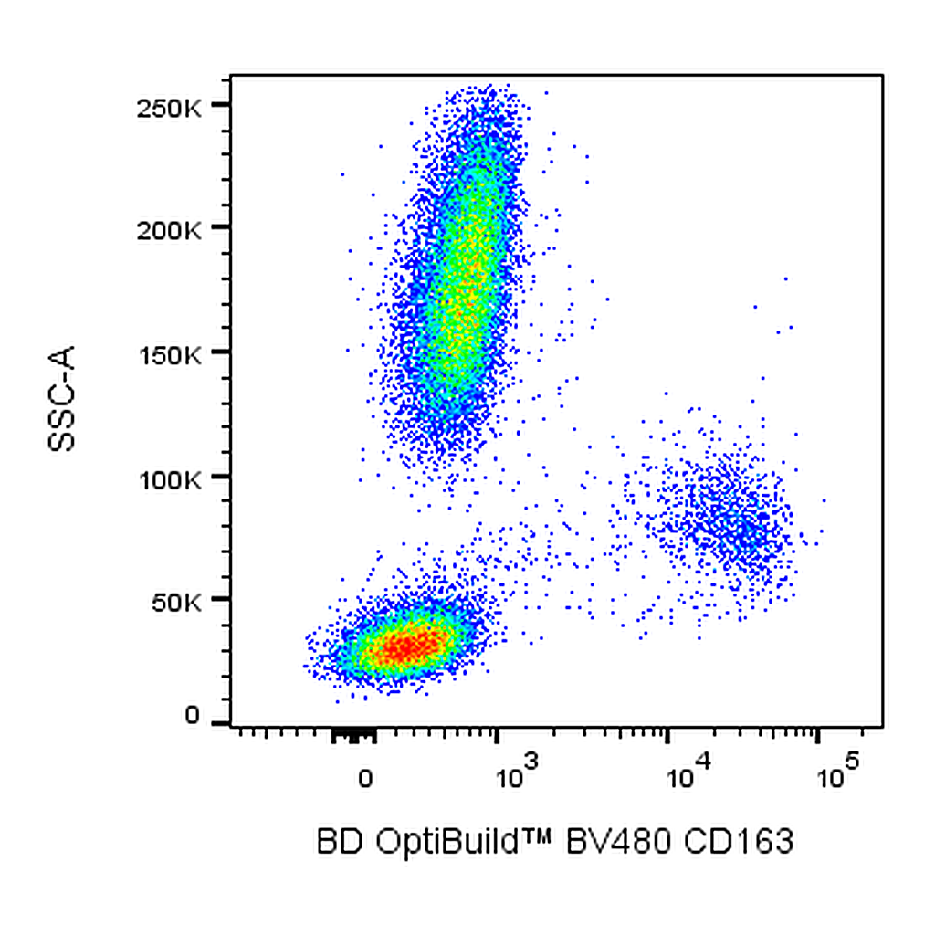BD BV480 Mouse Anti-Human CD163