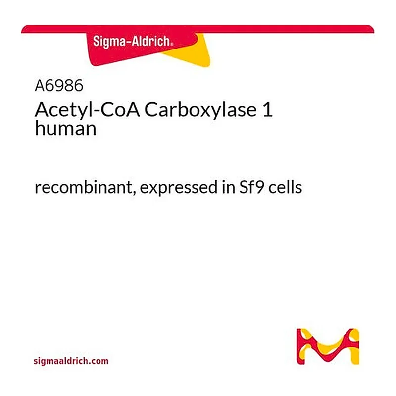 Merck Acetyl-CoA Carboxylase 1 human