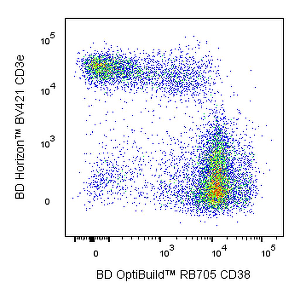 BD RB705 Rat Anti-Mouse CD38