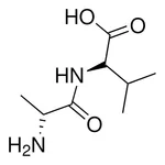 Merck D-ALANYL-D-VALINE - 50 MG