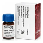 Thermo Fisher Scientific Dynabeads MyOne Tosylactivated, 2 mL