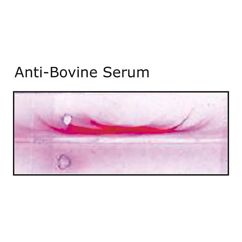 Merck Anti-Bovine Serum antibody produced in rabbit