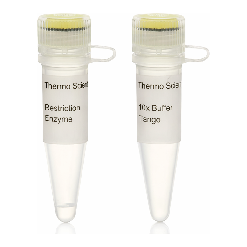 Thermo Fisher Scientific Bsp1407I (BsrGI) (10 U/&mu;L), 300 units