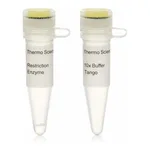 Thermo Fisher Scientific Bsp1407I (BsrGI) (10 U/μL), 300 units