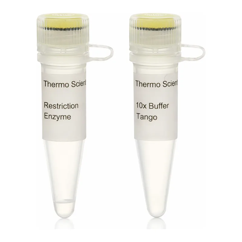 Thermo Fisher Scientific Bsp1407I (BsrGI) (10 U/μL), 300 units