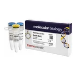 Thermo Fisher Scientific BseNI (BsrI) (10 U/μL), 1,000 units