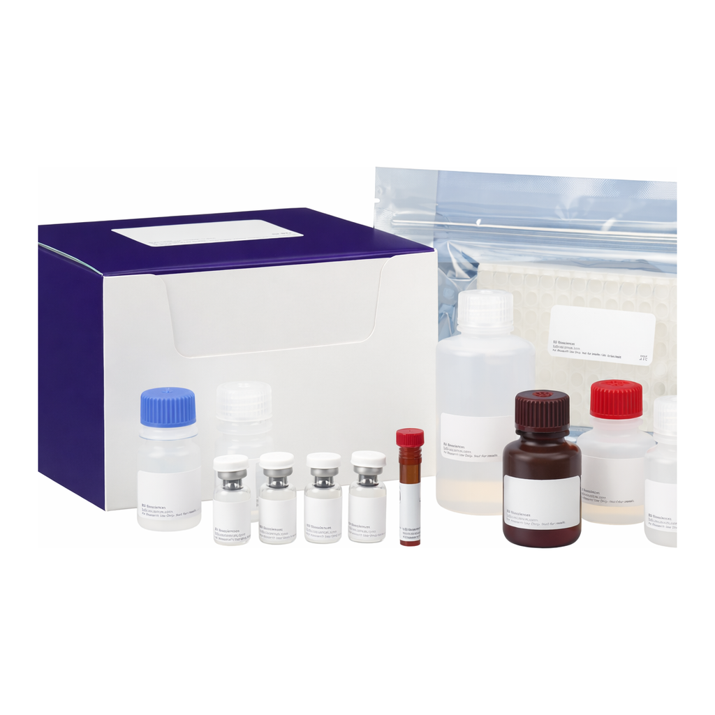 BD Human IL-1b ELISA KIT II