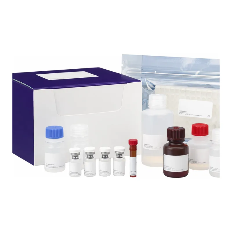 BD Human IL-1b ELISA KIT II