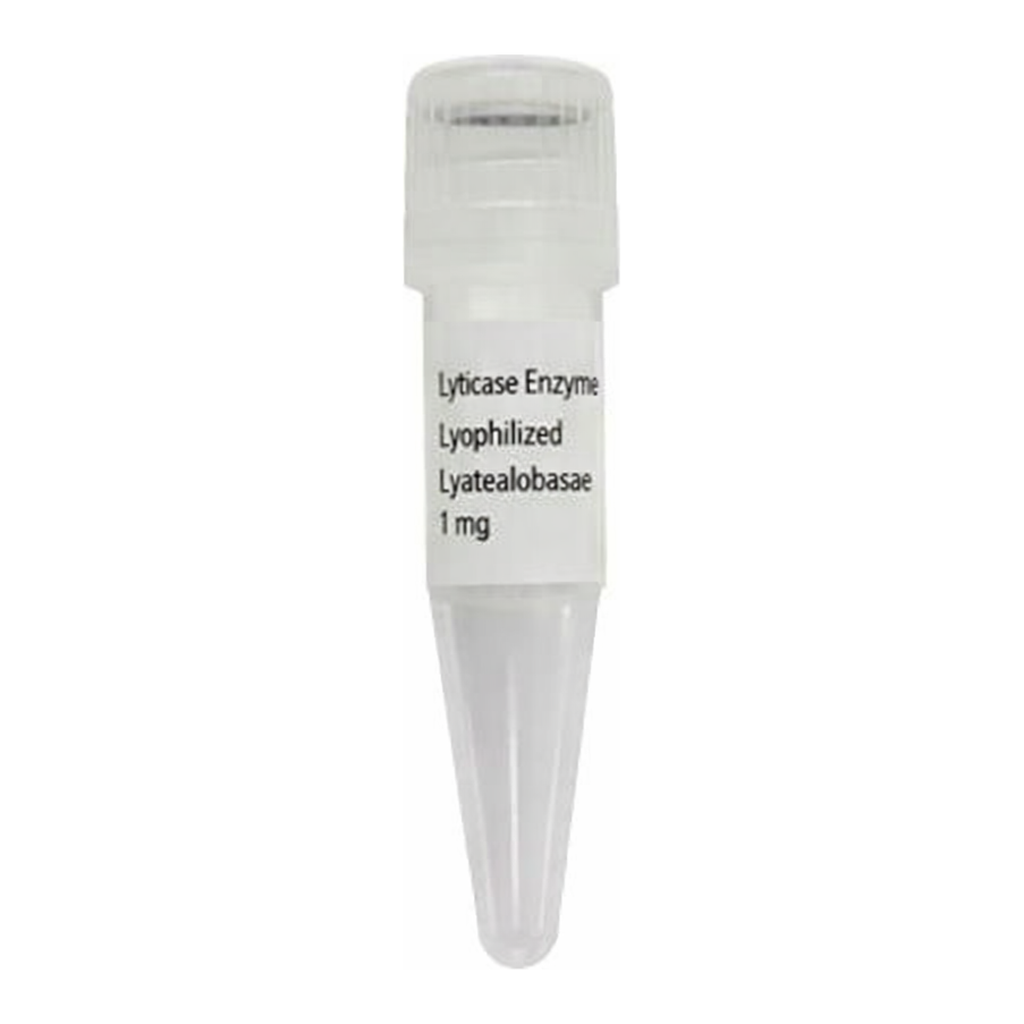 Thermo Fisher Scientific TurboFect Transfection Reagent, 1 mL