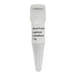 Thermo Fisher Scientific TurboFect Transfection Reagent, 1 mL