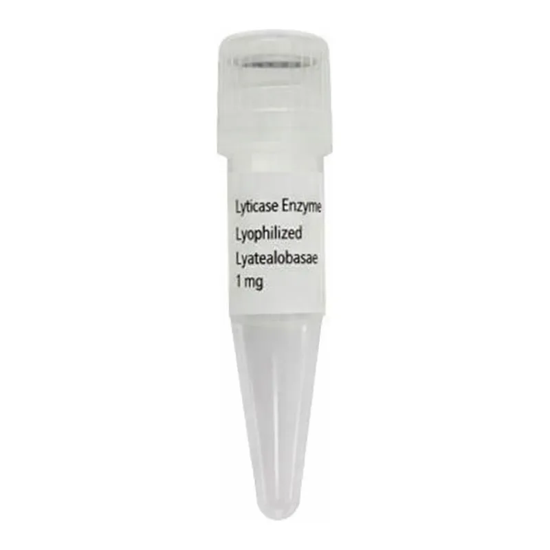 Thermo Fisher Scientific TurboFect Transfection Reagent, 1 mL