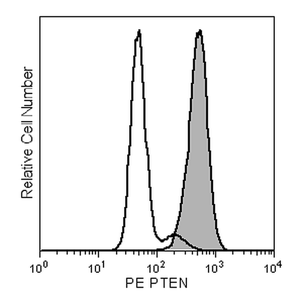 BD PE Mouse anti-PTEN