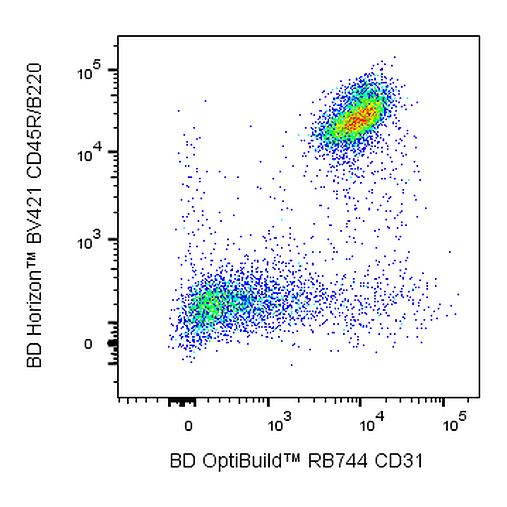 BD RB744 Rat Anti-Mouse CD31