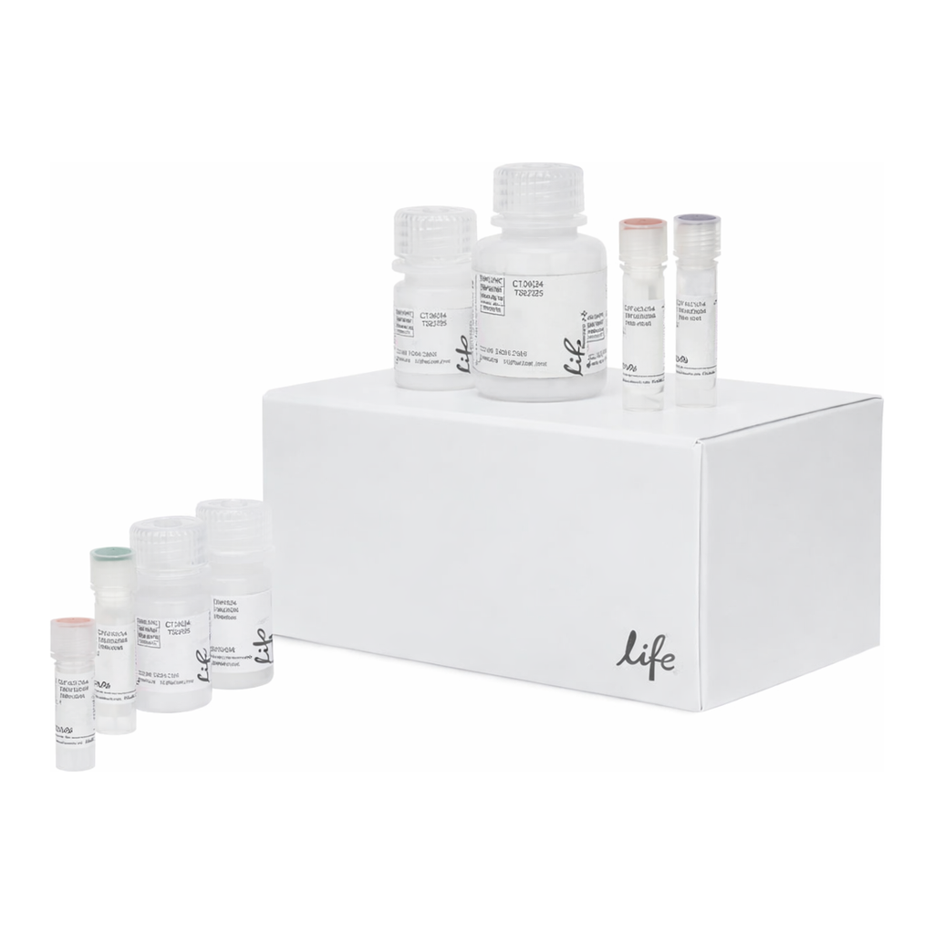 Thermo Fisher Scientific Click-iT Plus OPP Alexa Fluor 488 Protein Synthesis Assay Kit