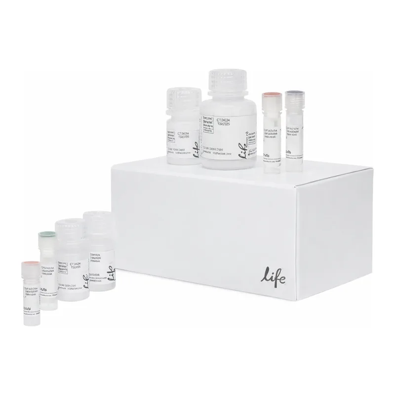 Thermo Fisher Scientific Click-iT Plus OPP Alexa Fluor 488 Protein Synthesis Assay Kit