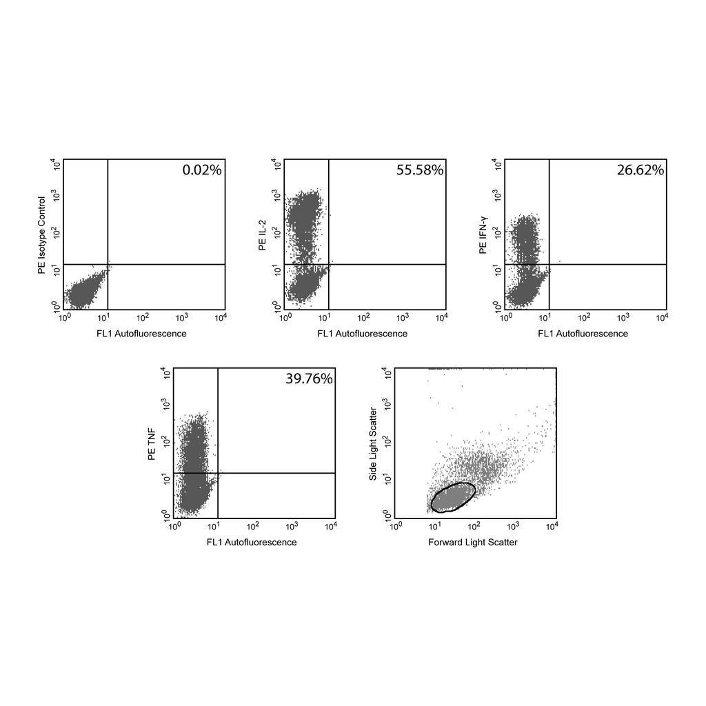 BD HiCK-1 Human Cytokine Positive Control Cells