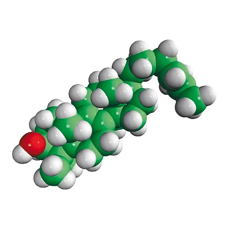 Merck lanosterol-95