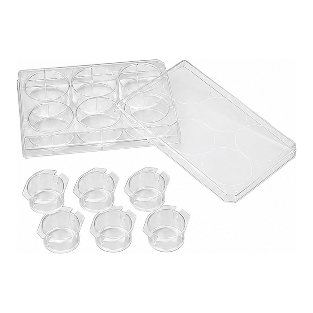 Cell Culture Inserts, Hanging