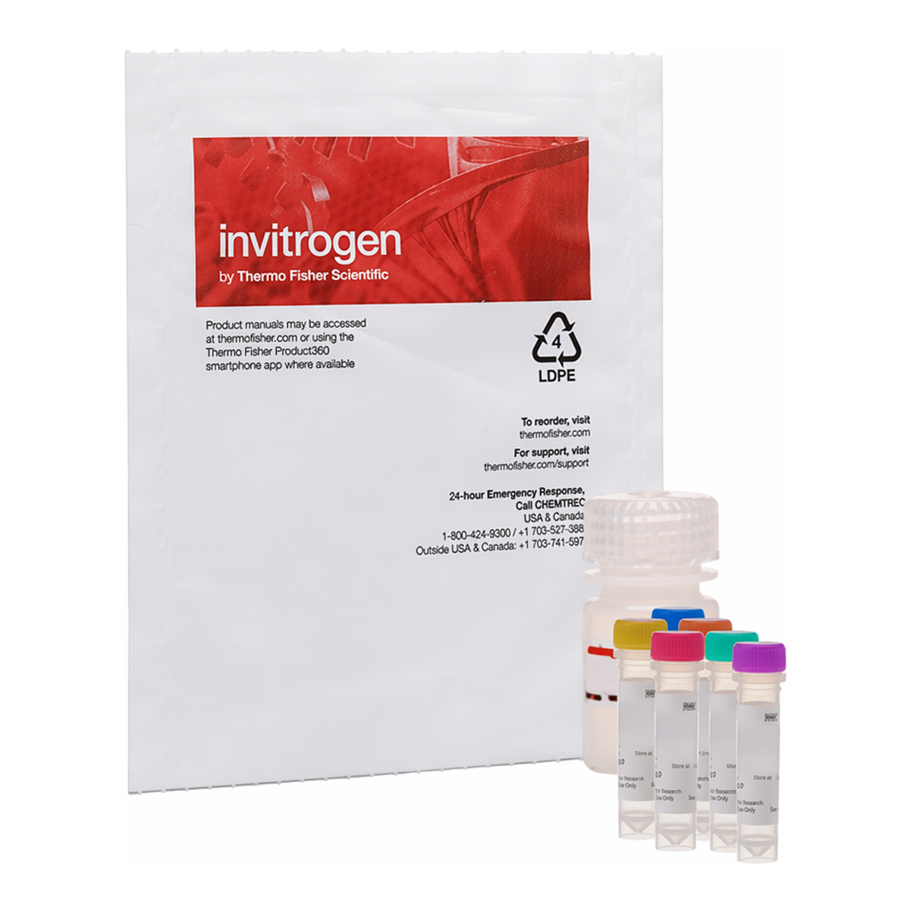 Thermo Fisher Scientific EnzChek Caspase-3 Activity Assay Kits, 500 assays